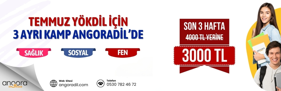 Angoradil.Com | Banner